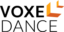 VoxelDance
