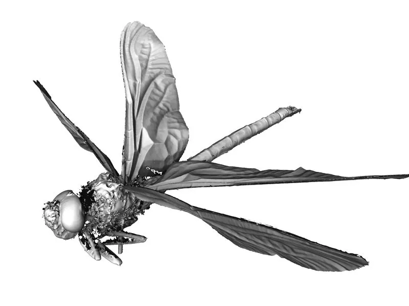 Dragonfly Solutionix Europac 3D